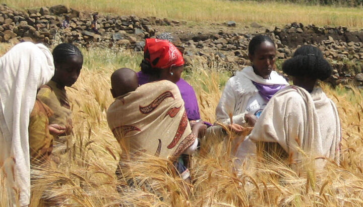 Tab Es Alimentarios Que Causan Desnutrici N En Mujeres Embarazadas