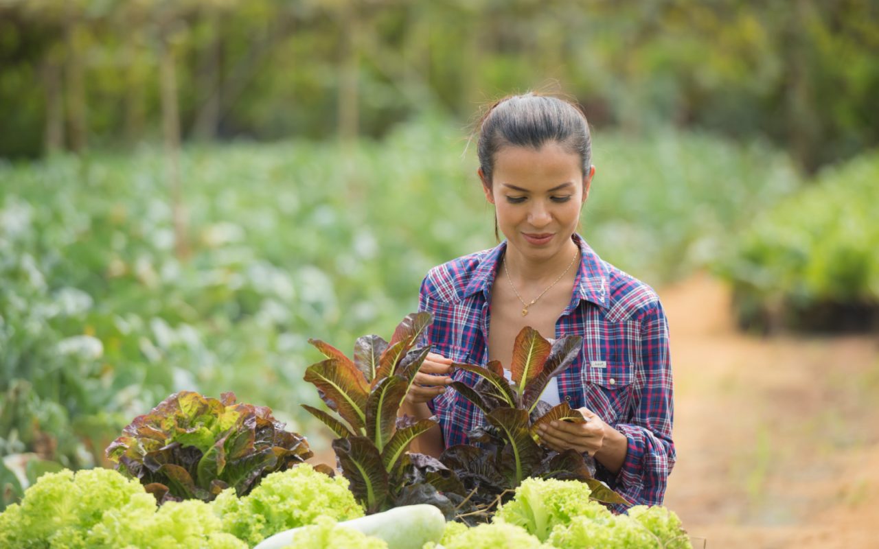 Con La Colaboraci N Como Eje Central Mujeres Cultivan Sus Propios