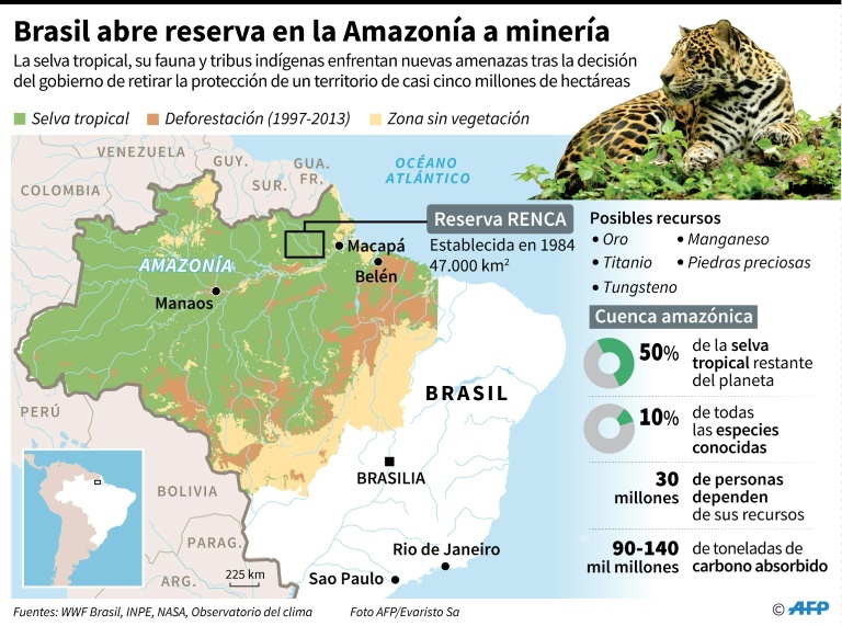 Peligra la amazonía. Temer abre enorme reserva a minería y enciende alarmas en Brasil.