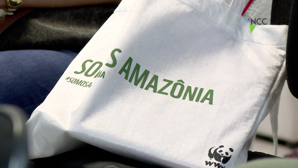 Casi 400 nuevas especies vegetales y animales descubiertas en la Amazonía