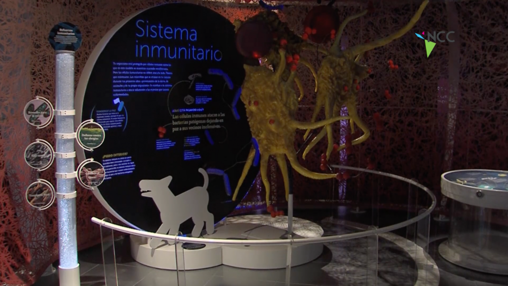 Un mundo dento de ti