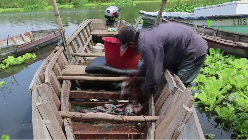 Lago contaminado aporta alimento y empleo para pobres en Nicaragua