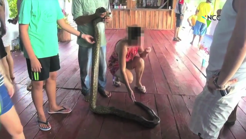 ¿Selfies con animales en la Amazonia? Una mala idea, advierte ONG