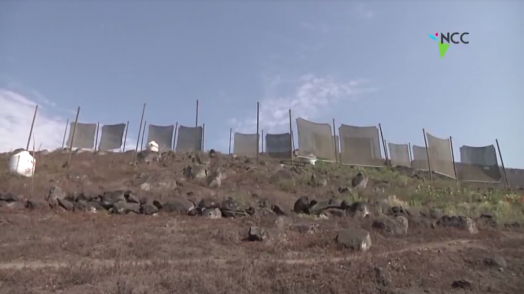 Perú: paneles 'atrapanieblas' mitigan impactos ambientales y aprovechan el agua de la niebla