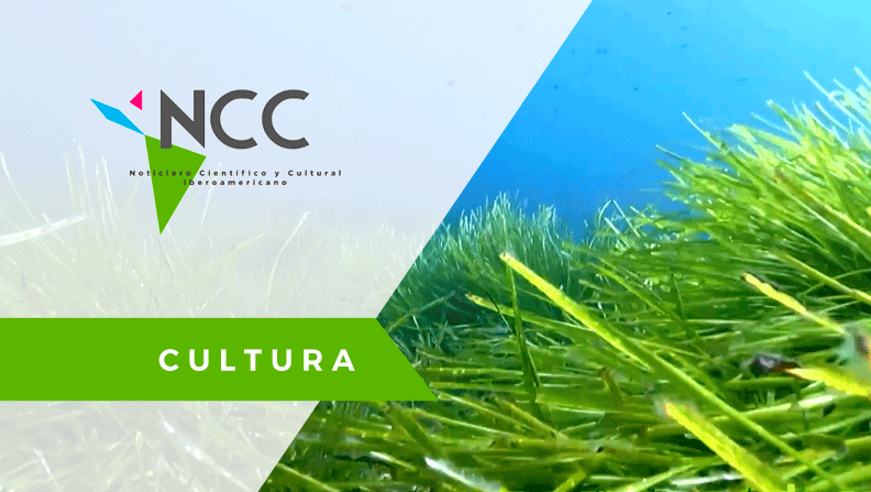 Propiedades de la Posidonia /ESP. XINHUA. Cultura/NCC31 – 05.03.18