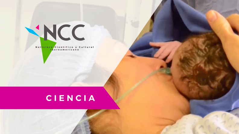 Cirugía fetal /MEX. EFE. Ciencia/NCC31 – 05.03.18