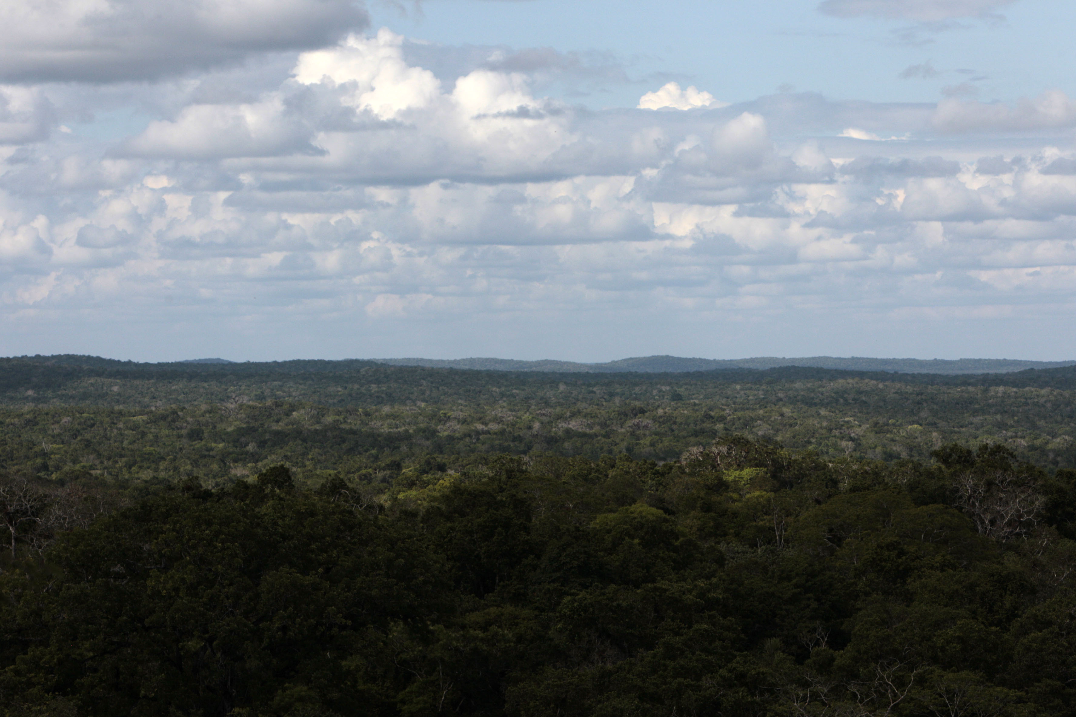 Expertos latinoamericanos debaten en Guatemala sobre concesiones forestales