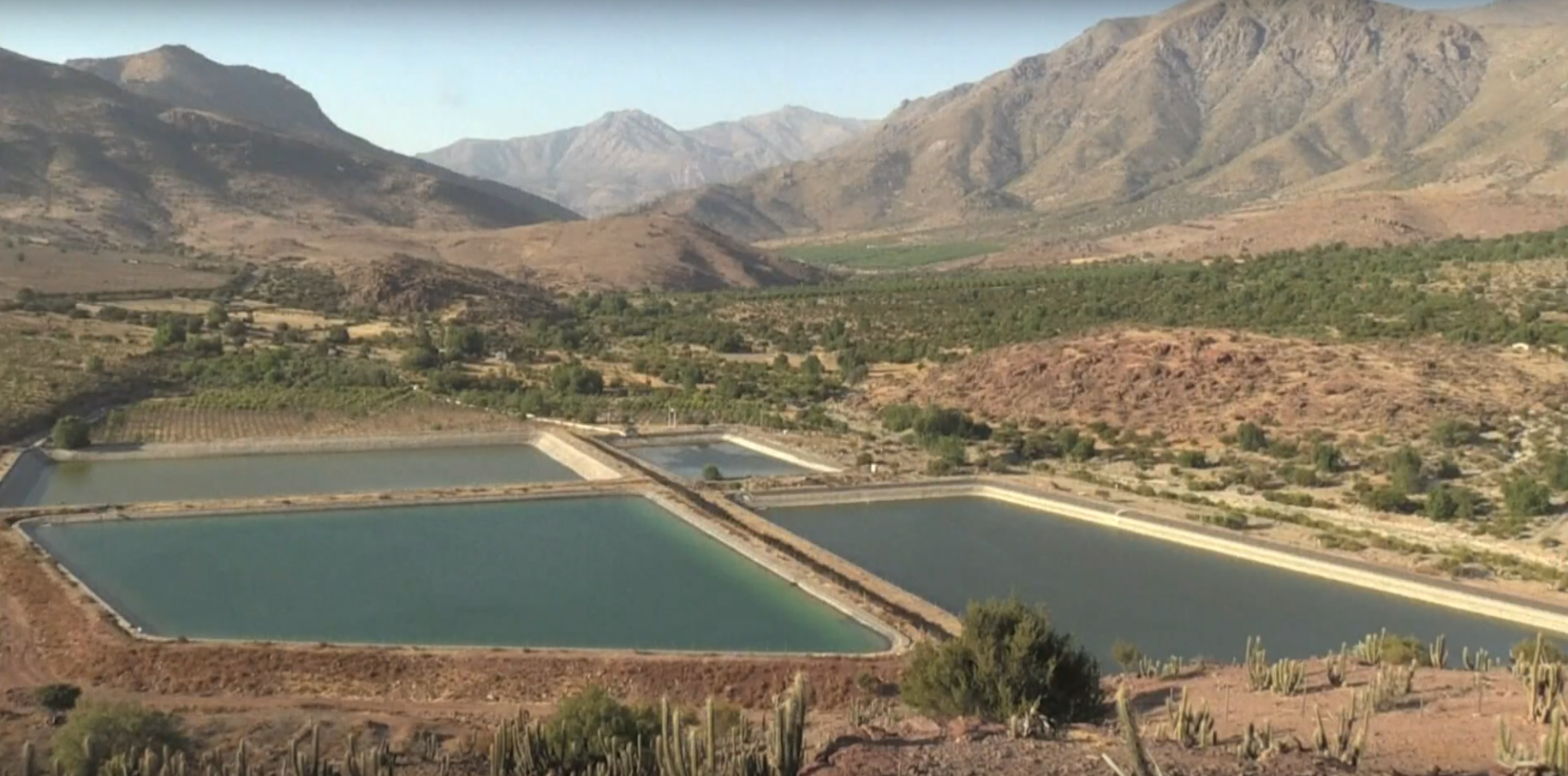 Pobladores de Chile sufren la falta de agua por la sobra de aguacates