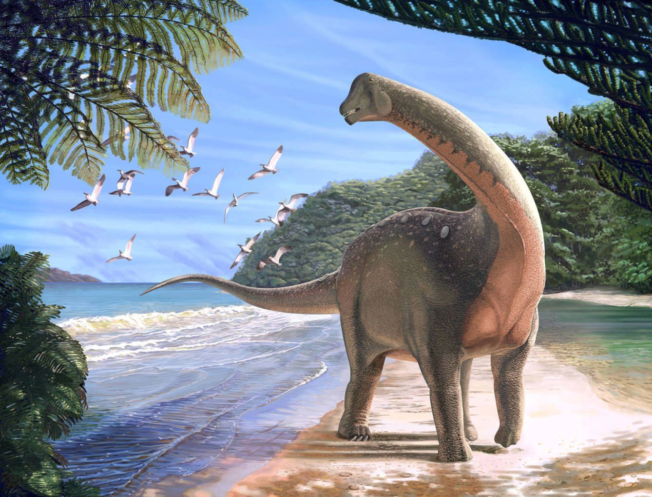 Fósiles de dinosaurio evidencían posible conexión por tierra entre África y Europa