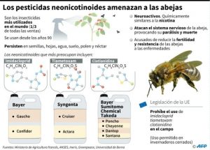 Pesticidas neonicotinoides amenazan abejas