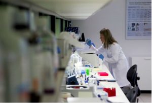 Encuentran nueva proteína