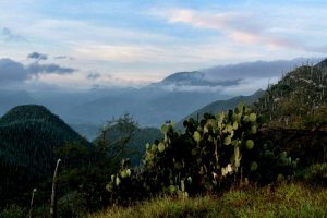 Valle de Tehuacán Cuicatlán