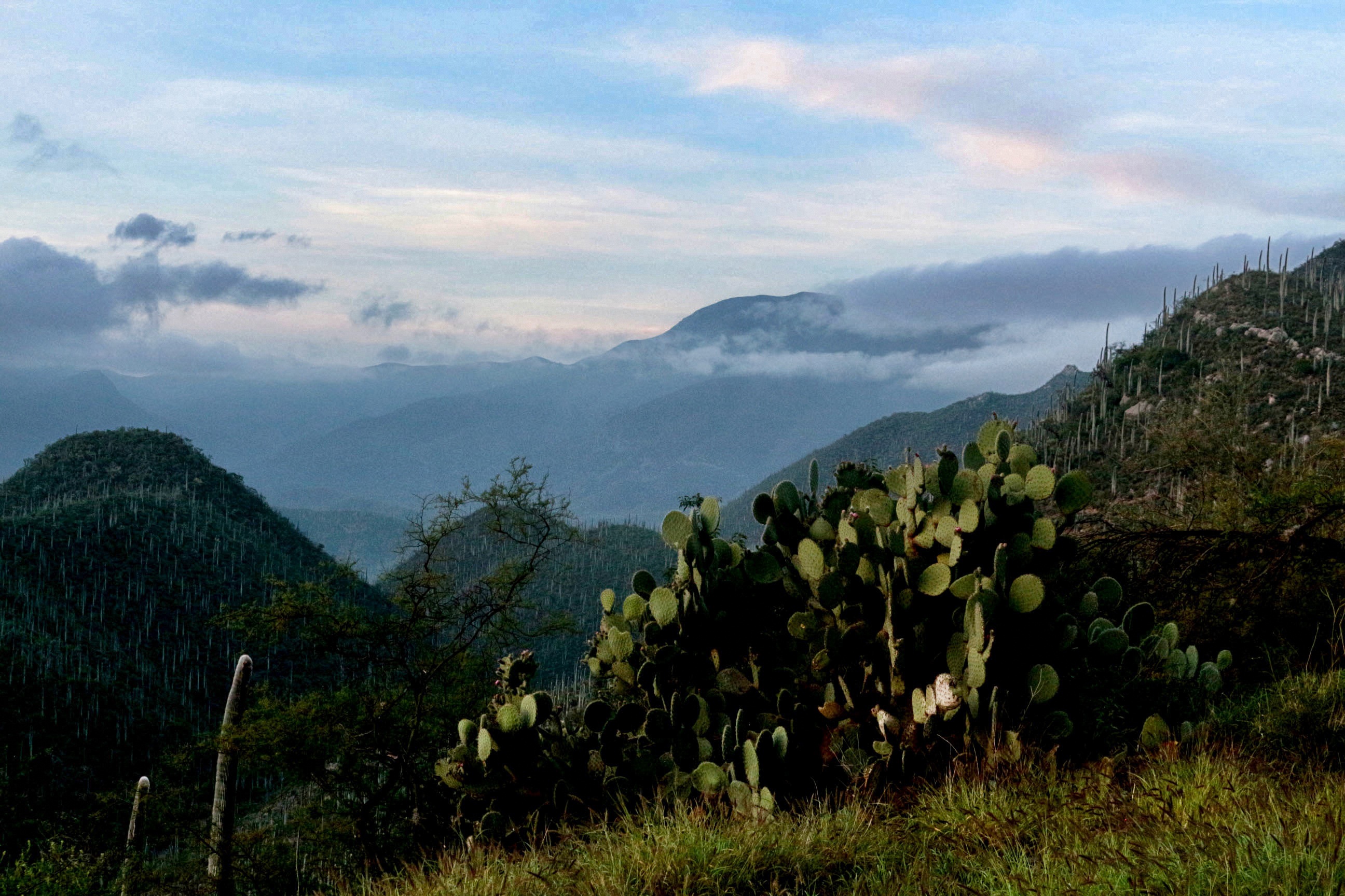 El valle de Tehuacán-Cuicatlán de México, declarado Patrimonio de la Humanidad