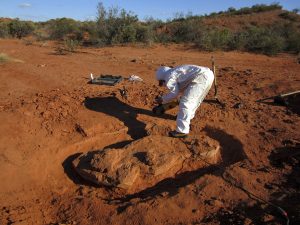 ARGENTINA-PALEONTOLOGY-GIANT-DINOSAUR