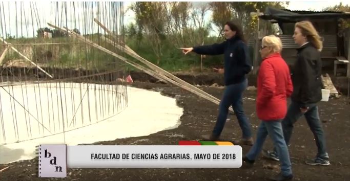 Biogas por red en comunidades rurales