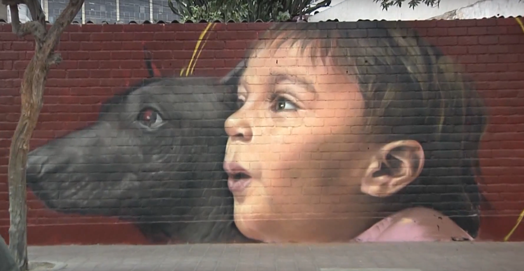 Murales de colores muestran la diversidad urbana