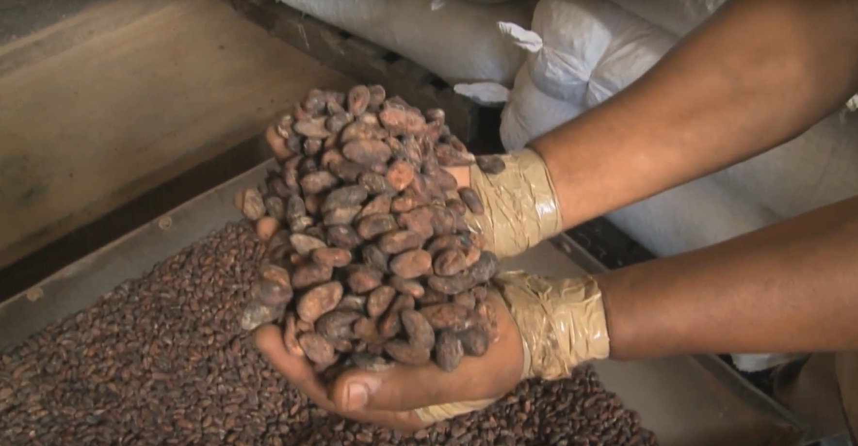 Baracoa, la tierra del chocolate cubano