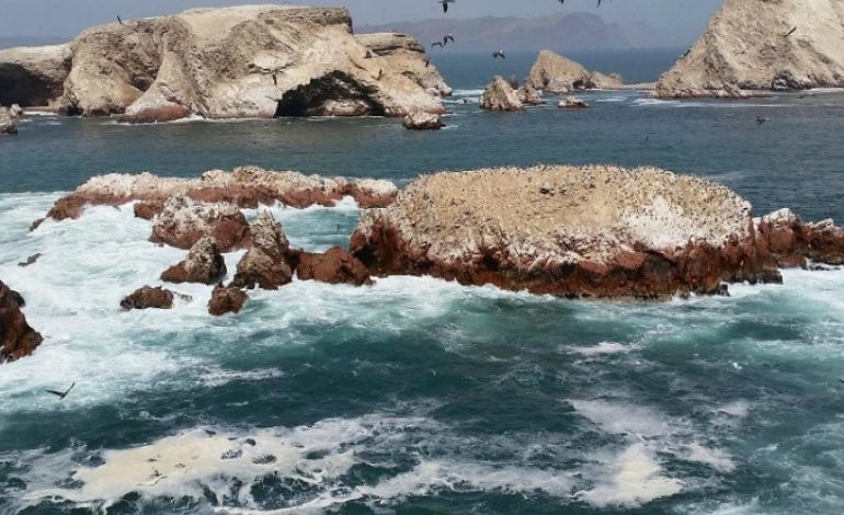 Perú creará reserva natural marina en frontera con Ecuador