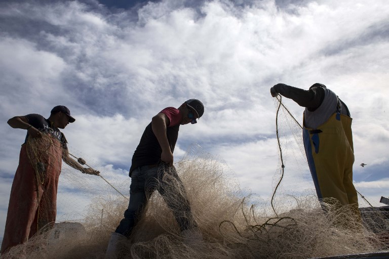 Sobrepesca y microplásticos, un desafío para el mundo, advierte la FAO