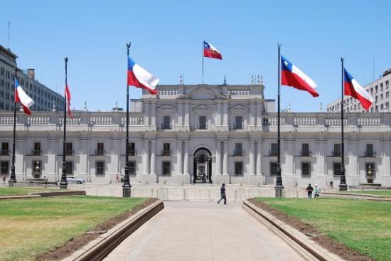 Estudian en Chile la relación del cambio climático con la mortalidad de las araucarias