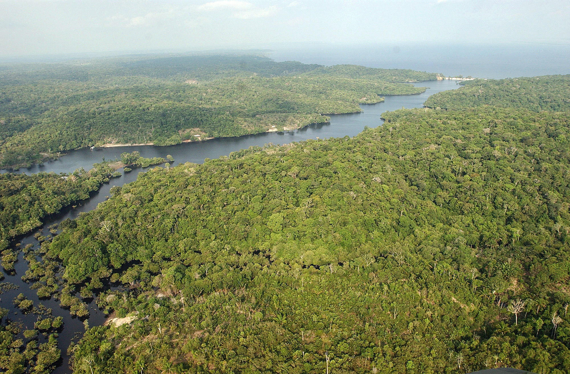 Deforestación de la Amazonía brasileña creció 91% de enero a agosto