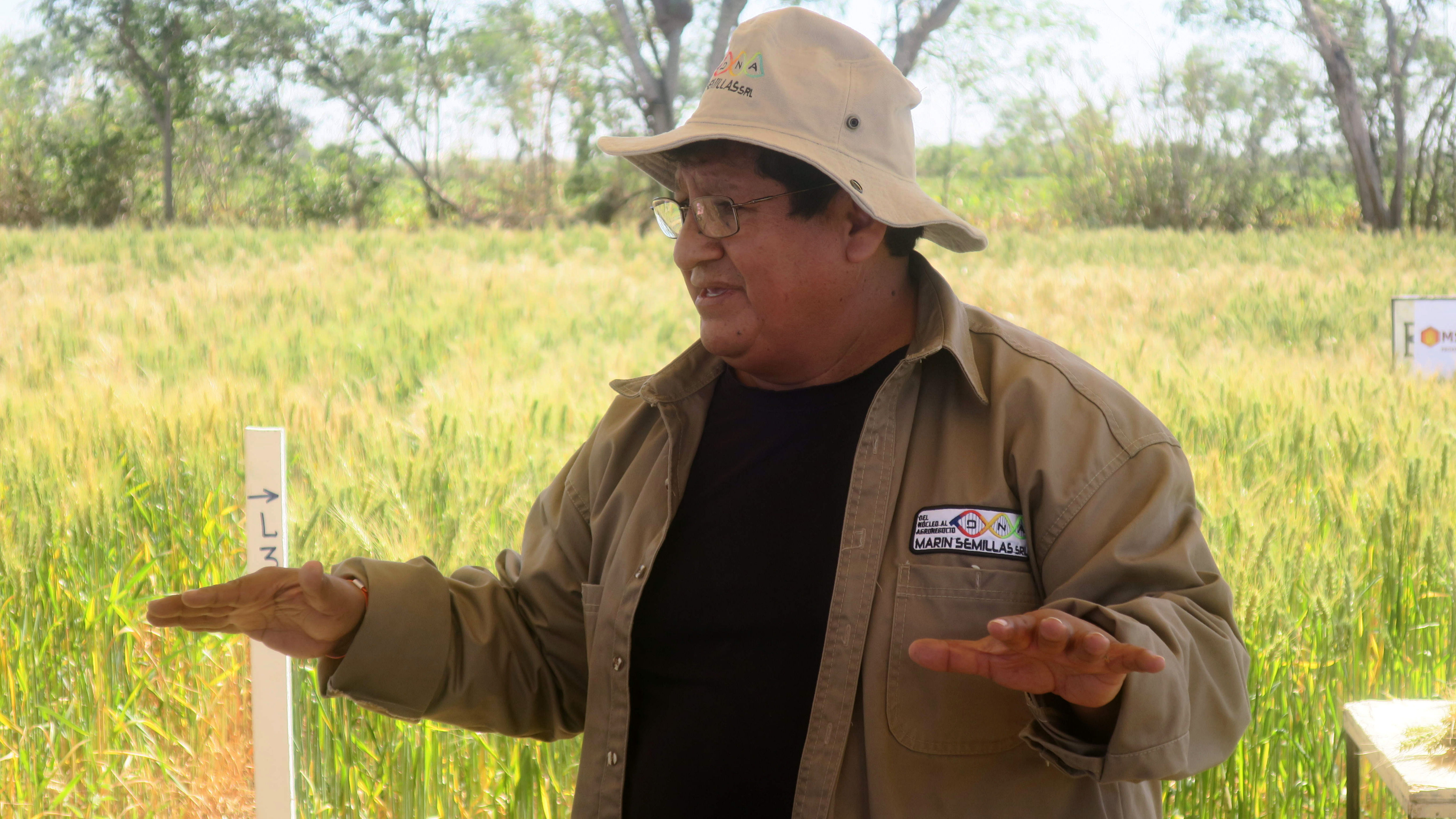 Un proyecto busca consolidar la siembra de quinua en el trópico de Bolivia