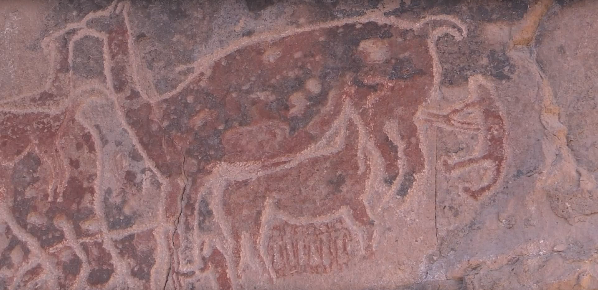 El tesoro arqueológico en el corazón del desierto chileno