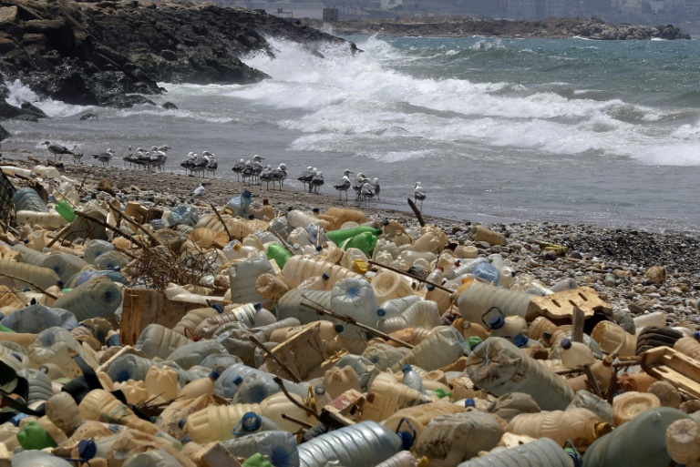 Estudio revela que plásticos degradables emiten gases de efecto invernadero