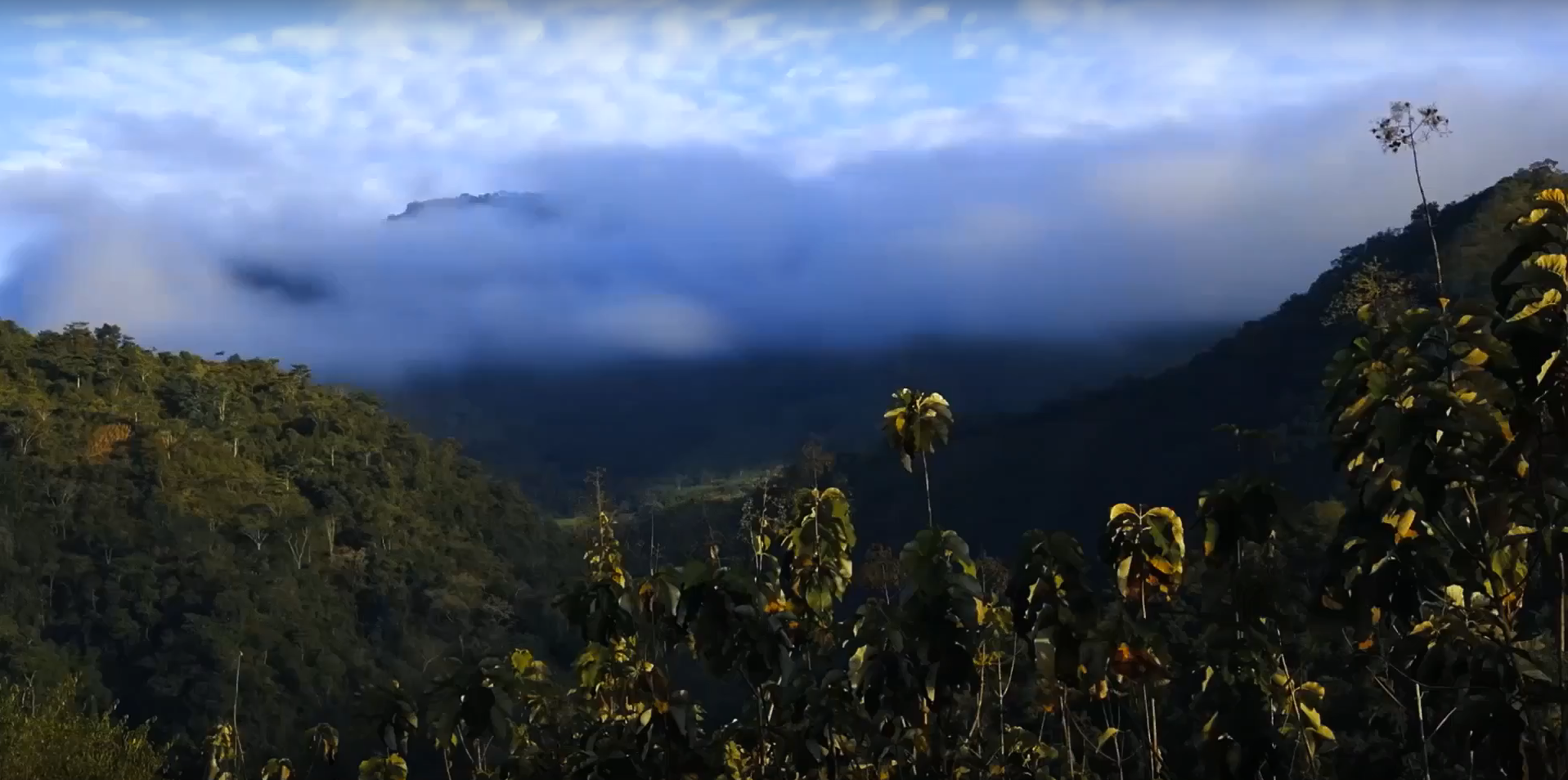 La fotografía como recurso de los sentidos