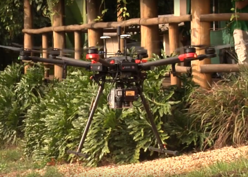 Un Dron que favorece la foresta
