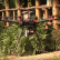 Un Dron que favorece la foresta