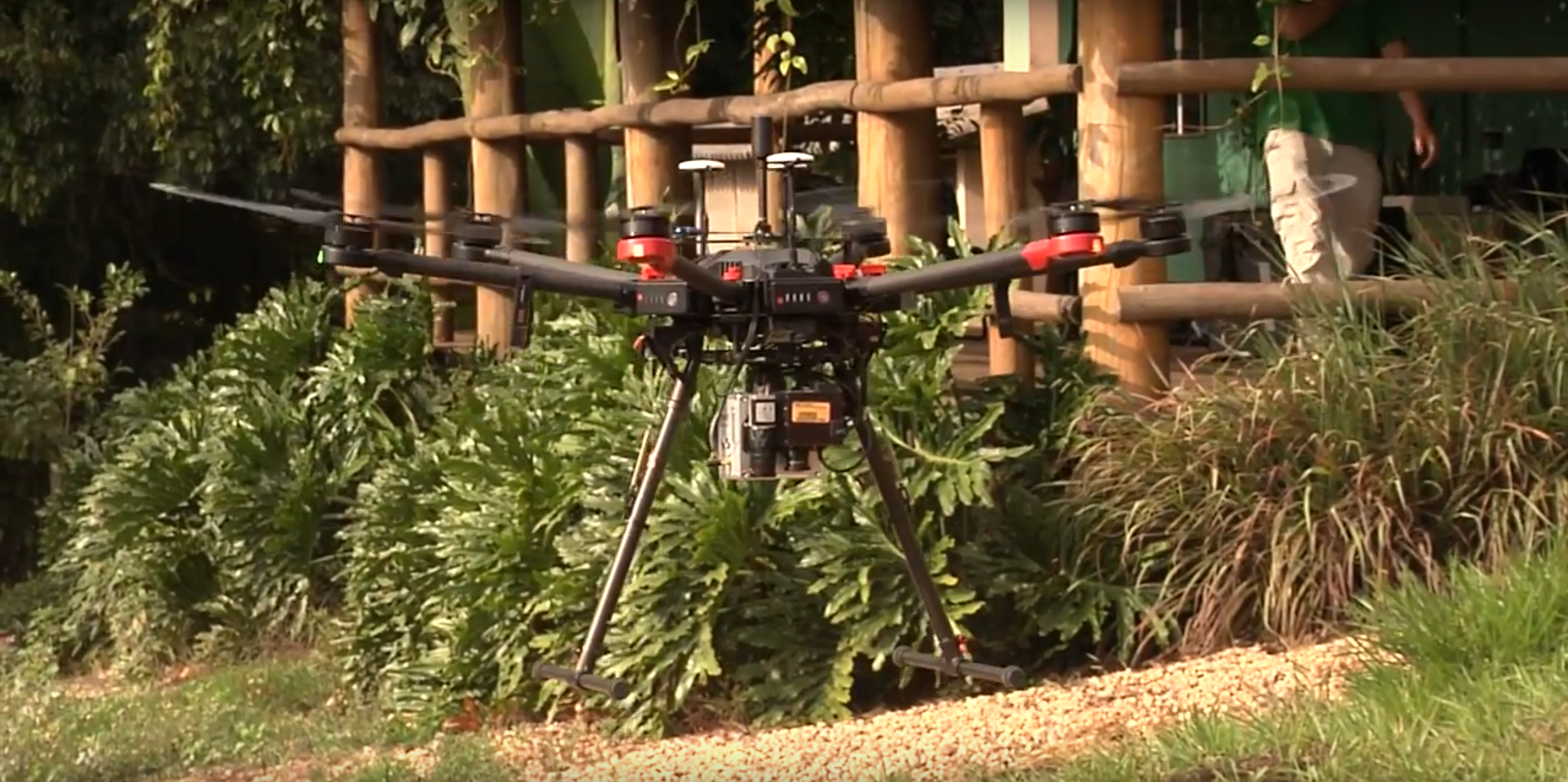 Un Dron que favorece la foresta