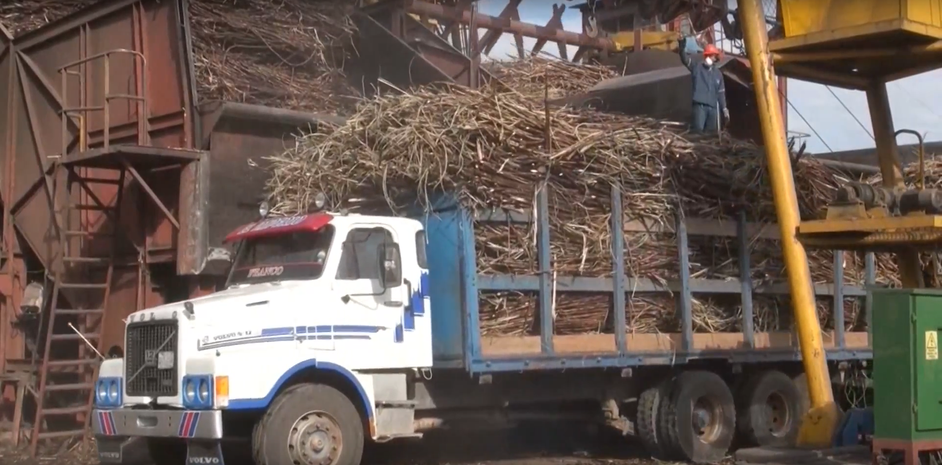 La apuesta por producción Biodiesel a base de caña