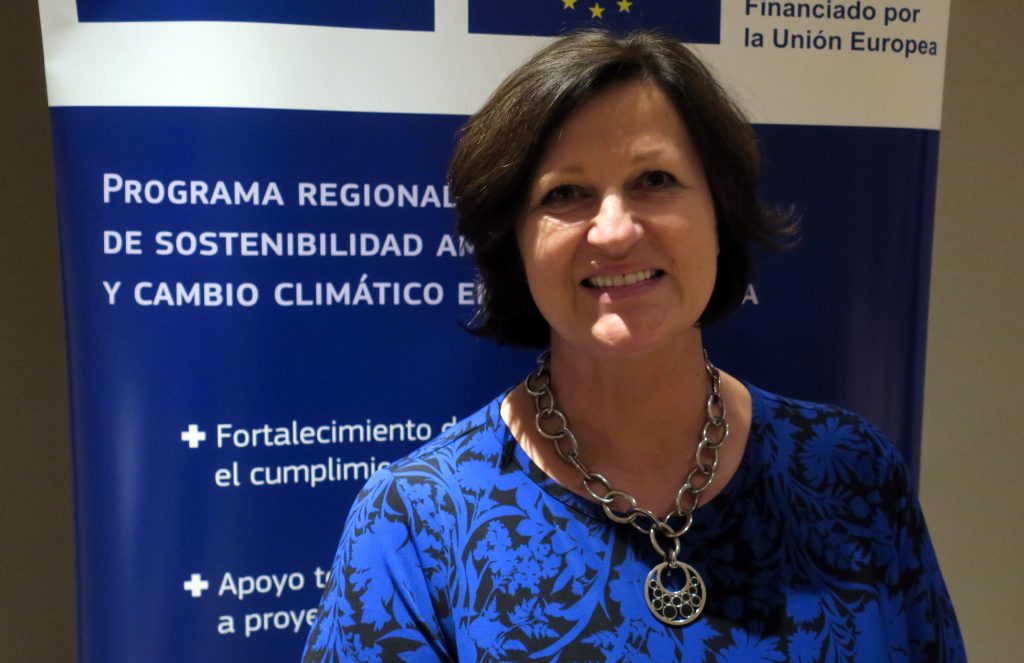 UE y Latinoamérica buscan atraer financiación privada contra cambio climático