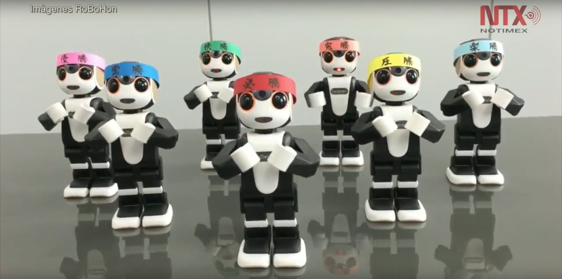 RoBoHon, el humanoide que guiará turistas