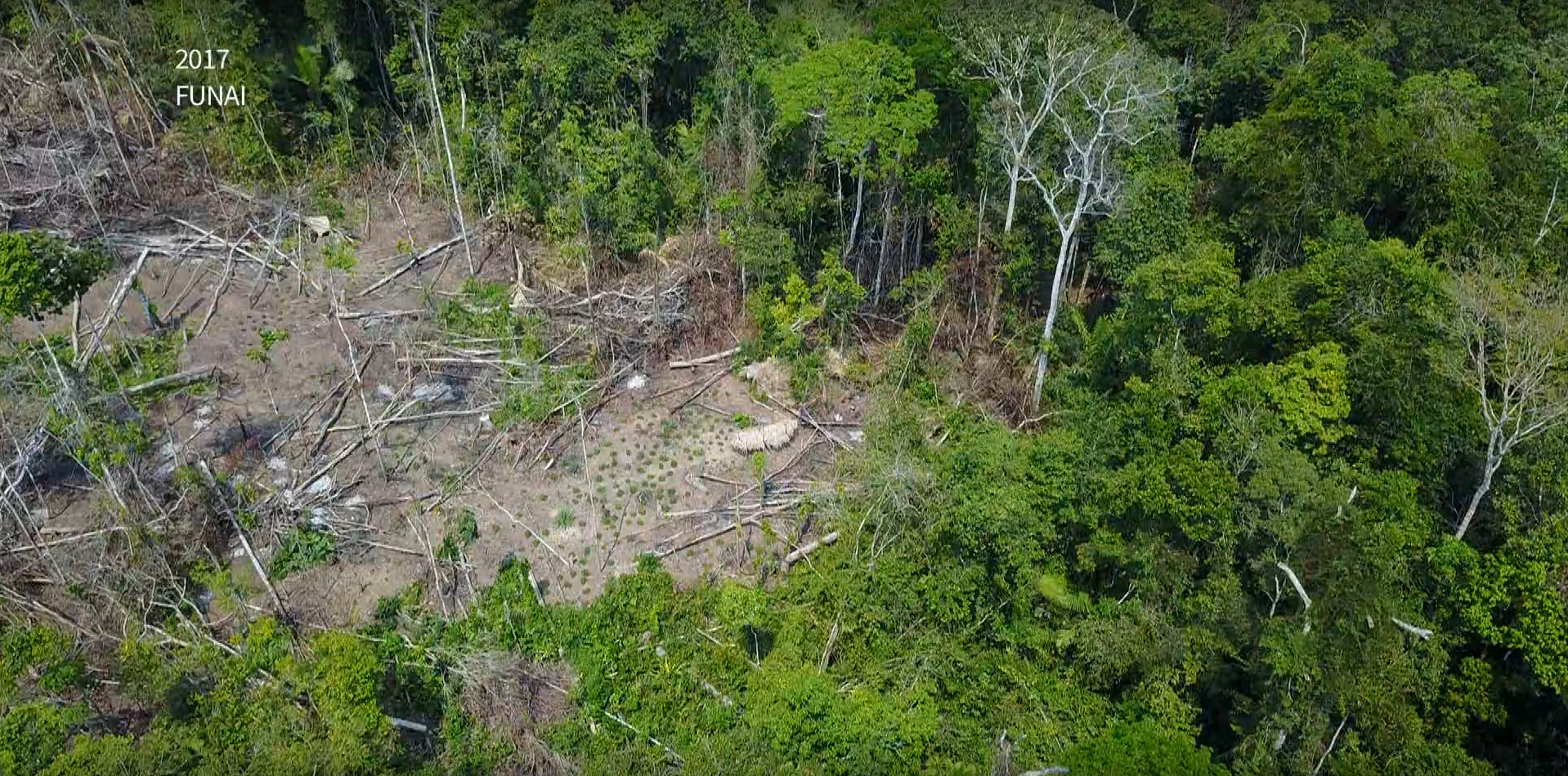 Con alta tecnología ubican Tribu aislada en Brasil