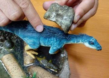 Descubren familia de dinosaurios que habitó México hace millones de años