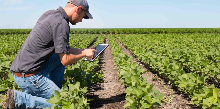 Presentan un Plan Nacional de Agricultura Familiar con apoyo de la FAO