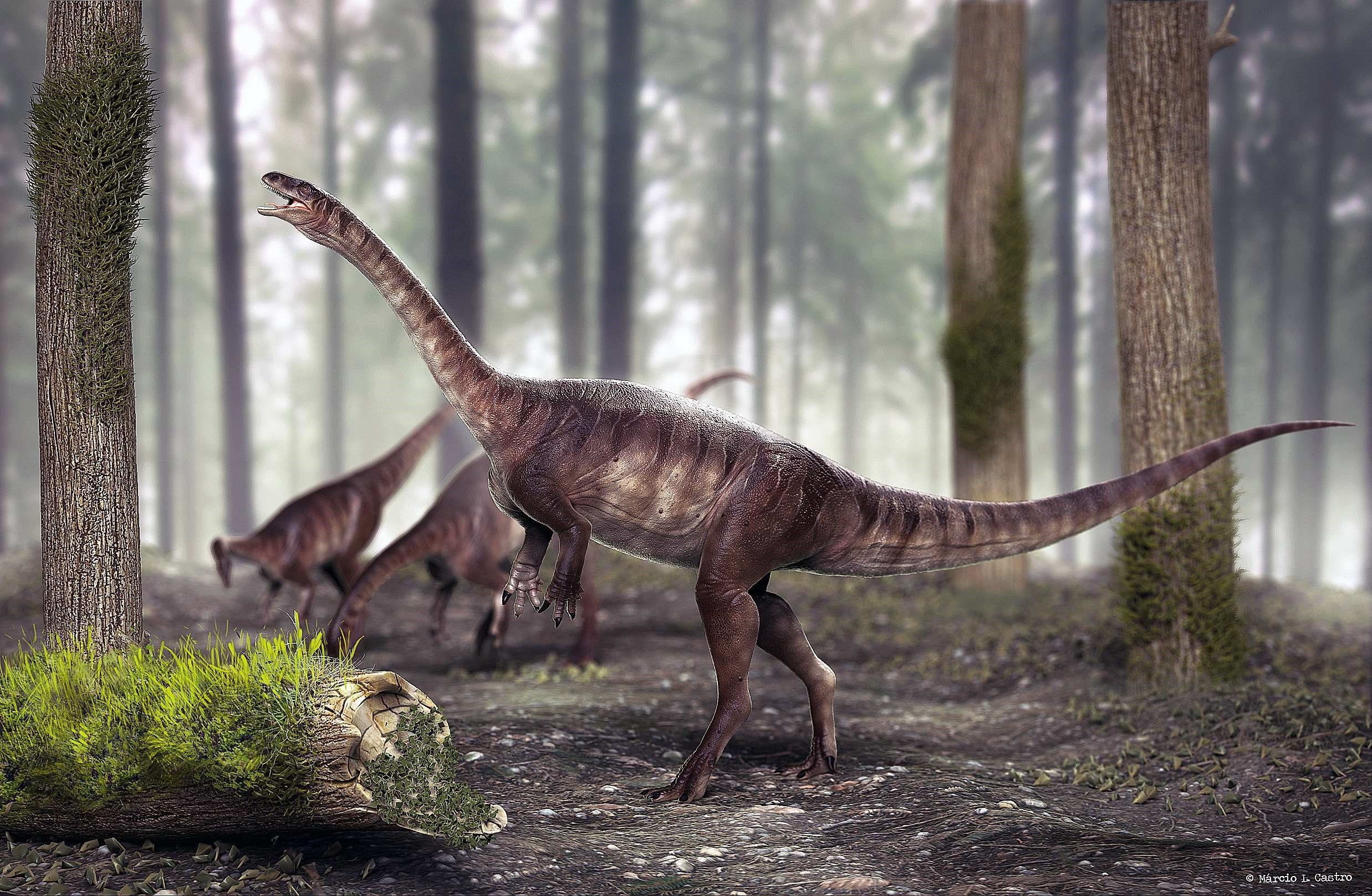 Descubren nueva especie de dinosaurio en el sur de Brasil