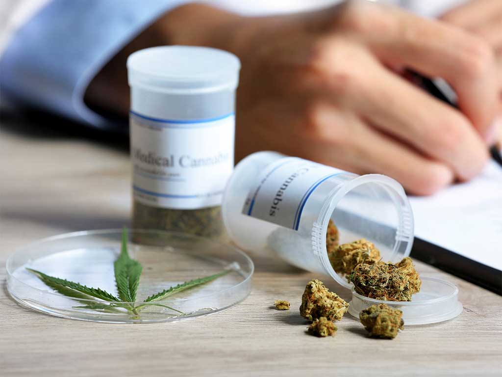 Presentan proyecto de ley para comercializar cannabis con fines farmacéuticos