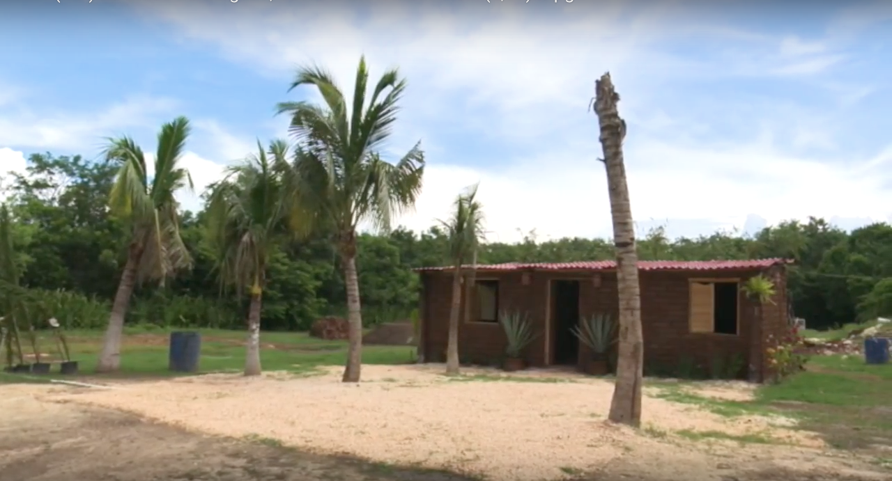 Ladrillos de sargazo, casas a la vista