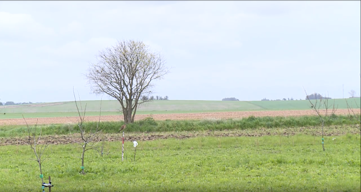 Colaboración, clave en el campo agrícola