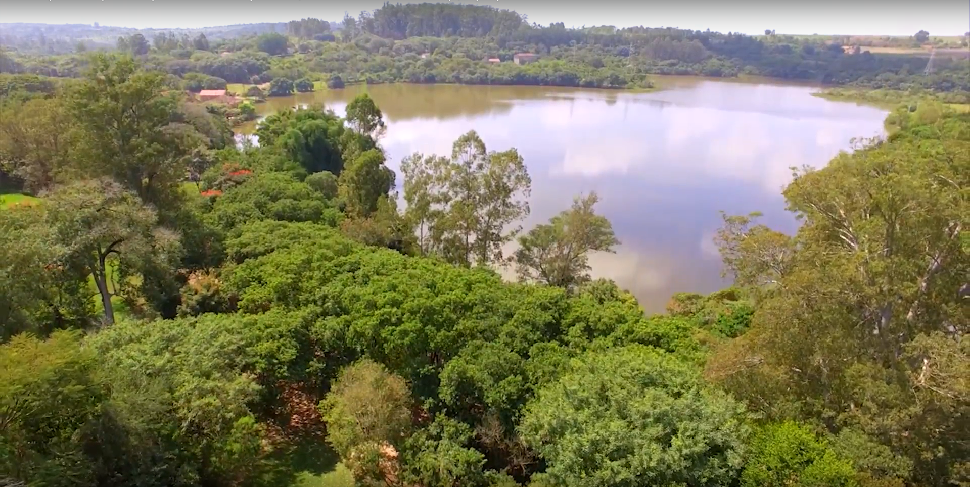 El Bosque Nacional de Ipanema, una escuela al aire libre