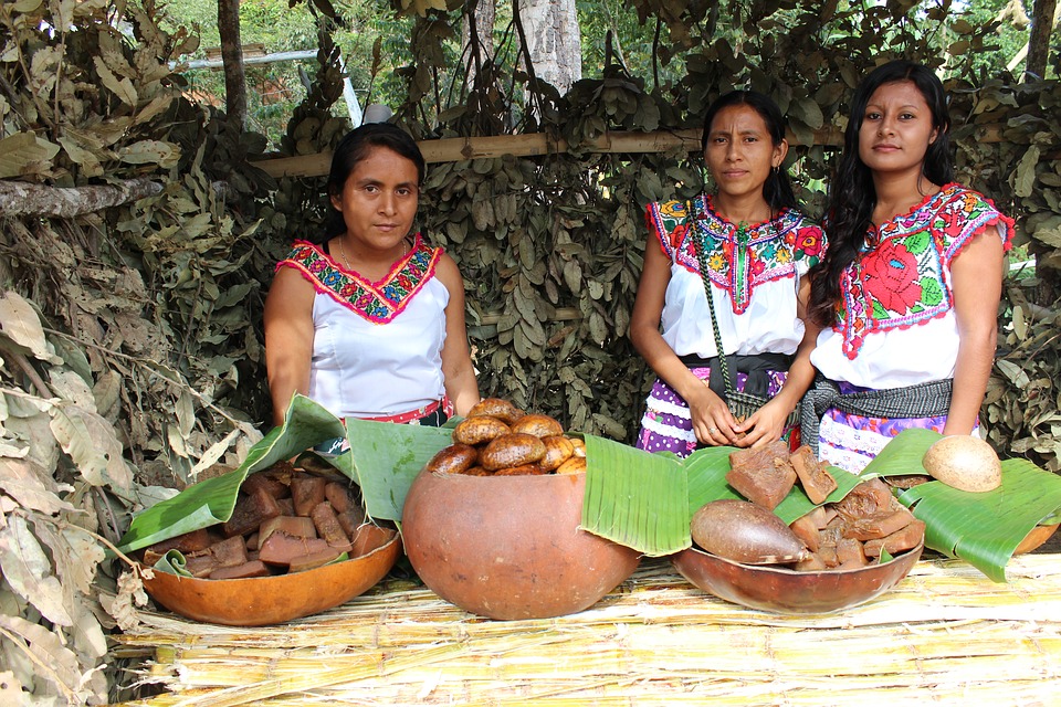 Cultivos de café amables con el clima