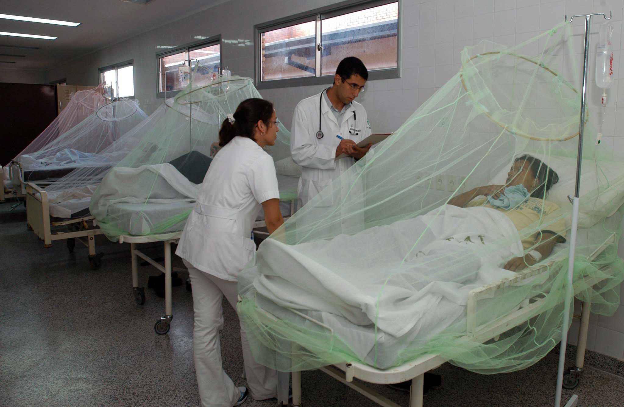 Muertes por dengue en Brasil se cuadruplican en 2019