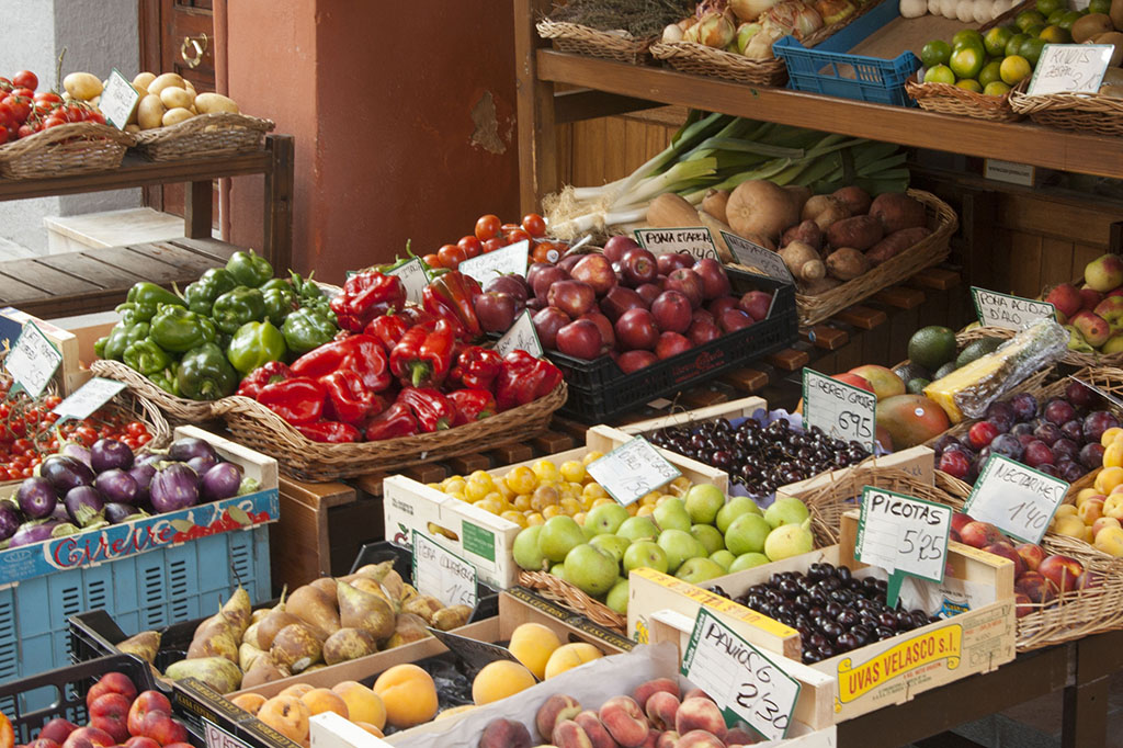 Conferencia mundial promueve inversiones contra alimentos dañinos