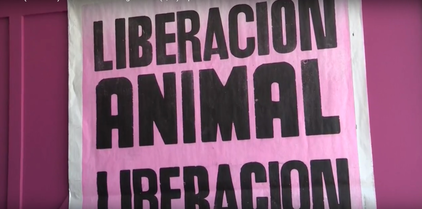 Voicot, un movimiento artístico para la liberación animal