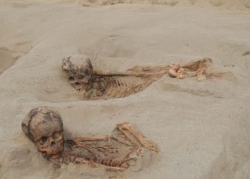 Restos de niños y llamas sacrificados en siglo XV en Perú