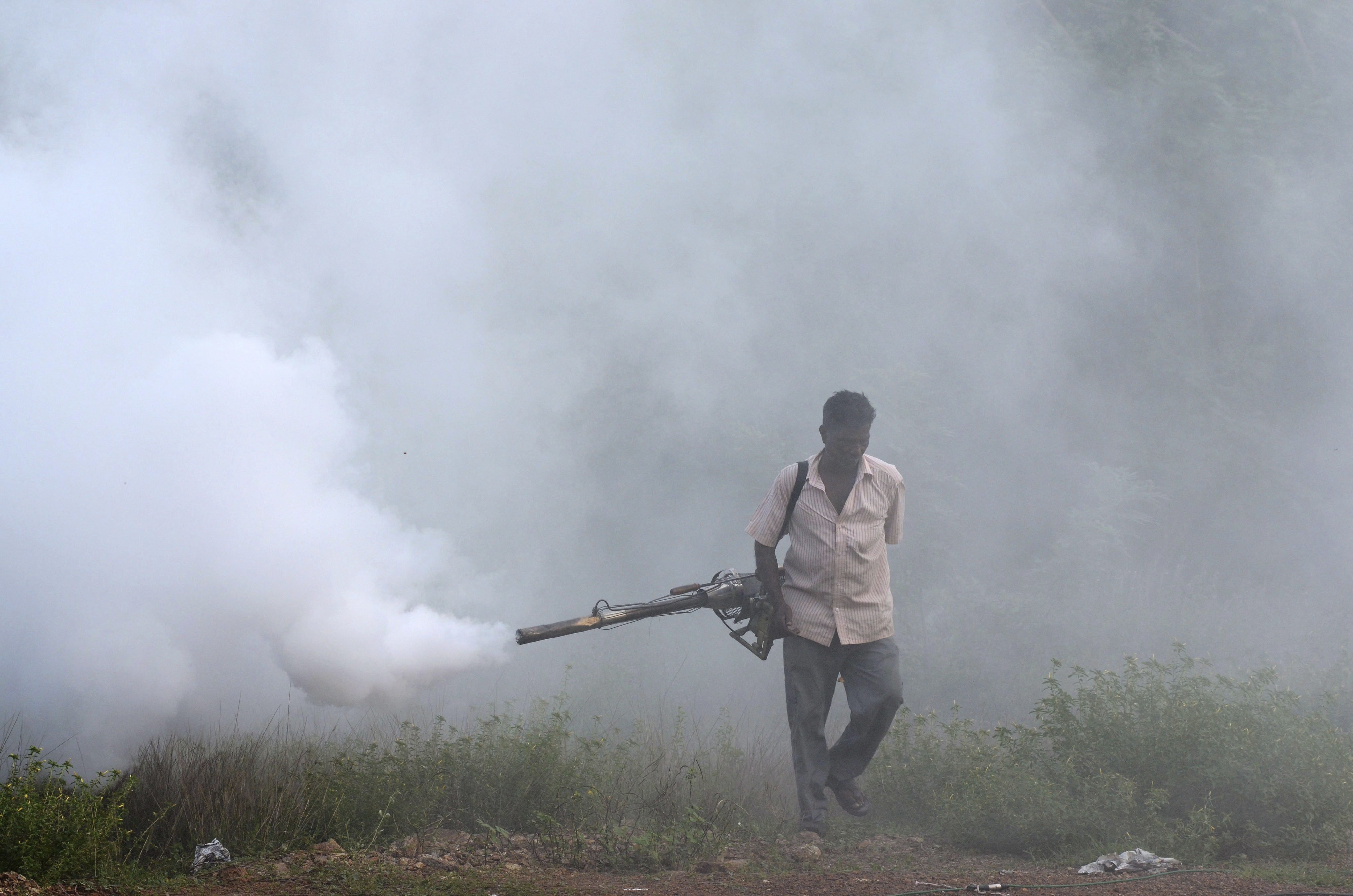 Hallan mosquito transmisor de malaria resistente a los insecticidas