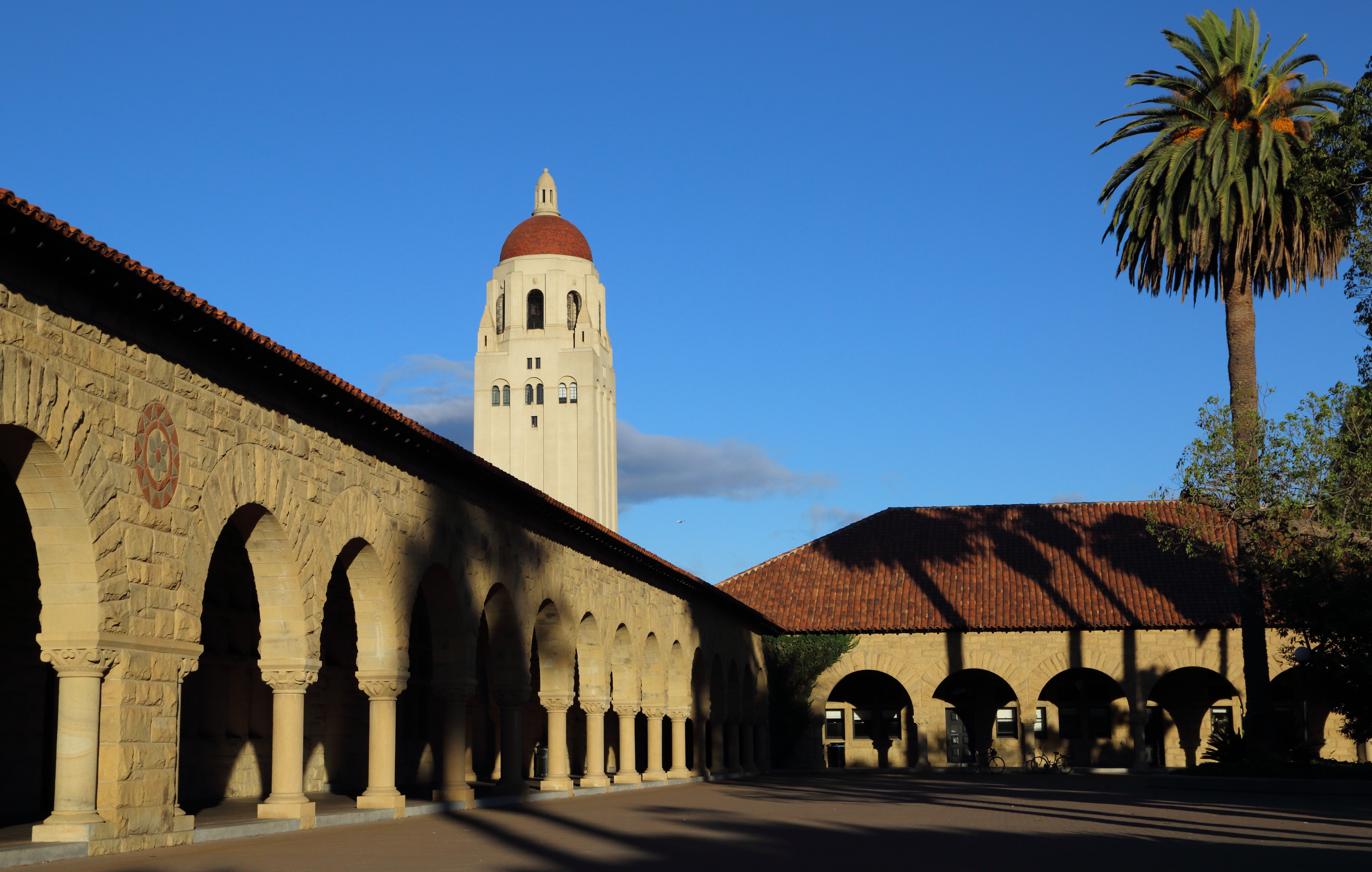 Stanford lanza instituto de inteligencia artificial centrado en el ser humano